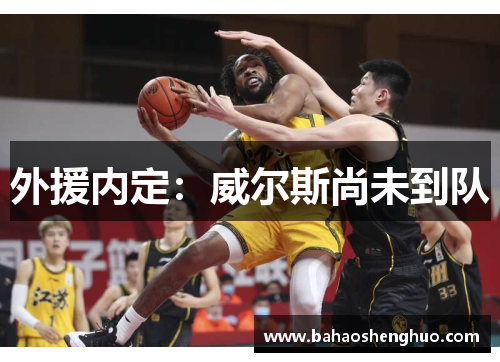 外援内定：威尔斯尚未到队